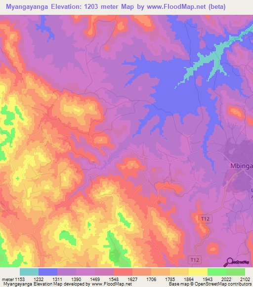 Myangayanga,Tanzania Elevation Map