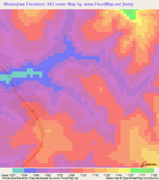 Mtulanjiwa,Tanzania Elevation Map