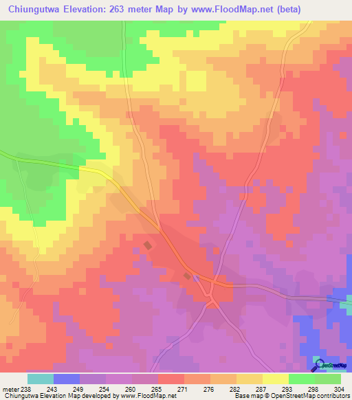 Chiungutwa,Tanzania Elevation Map