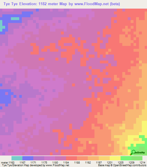 Tye Tye,Zambia Elevation Map