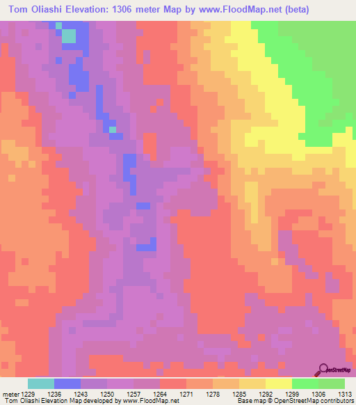 Tom Oliashi,Zambia Elevation Map