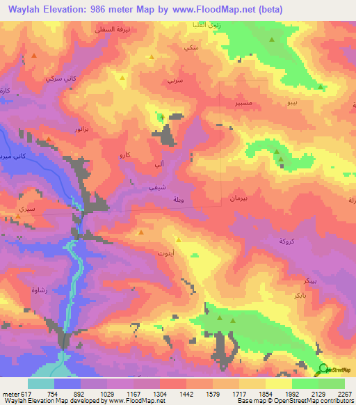 Waylah,Iraq Elevation Map