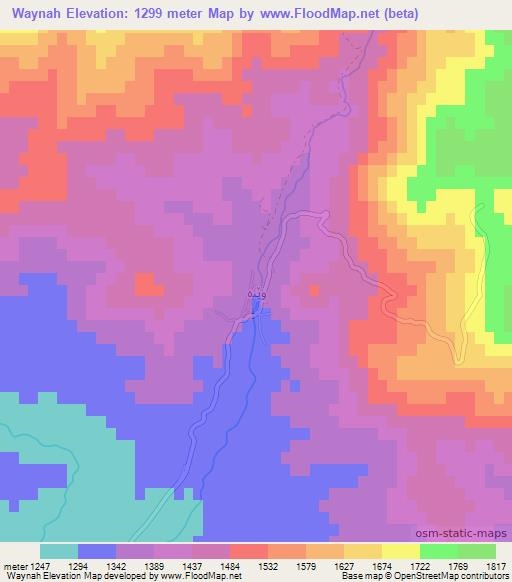 Waynah,Iraq Elevation Map