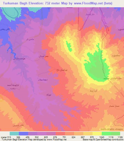 Turkuman Bagh,Iraq Elevation Map