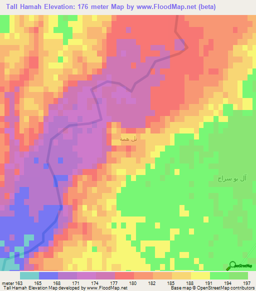 Tall Hamah,Iraq Elevation Map