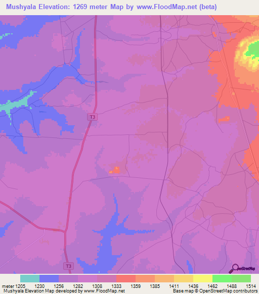 Mushyala,Zambia Elevation Map