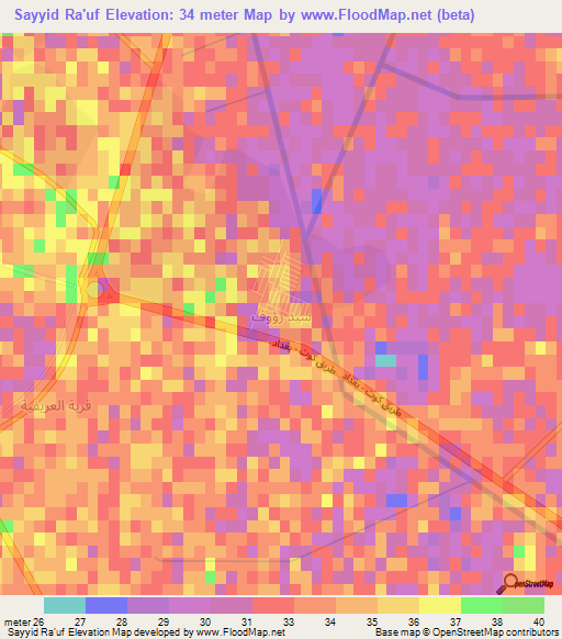 Sayyid Ra'uf,Iraq Elevation Map