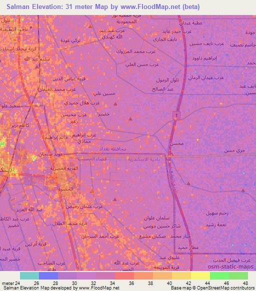 Salman,Iraq Elevation Map