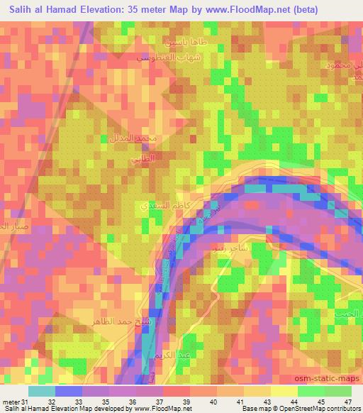 Salih al Hamad,Iraq Elevation Map