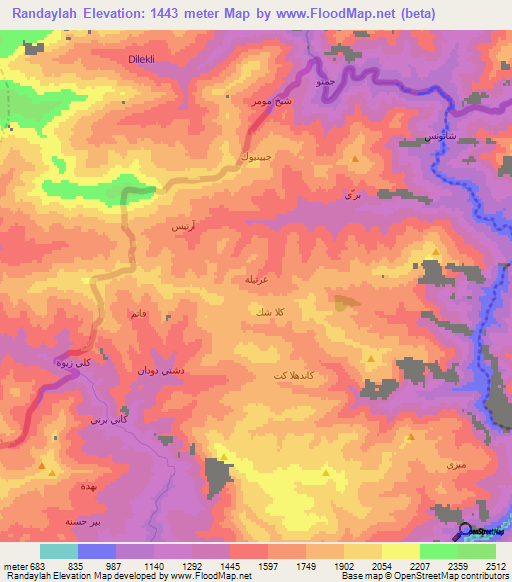 Randaylah,Iraq Elevation Map