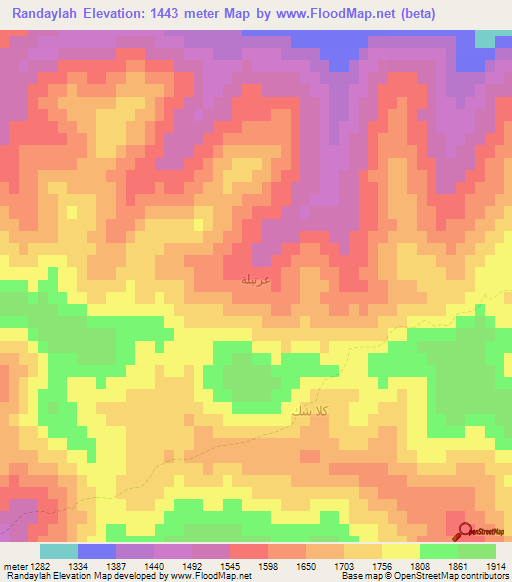 Randaylah,Iraq Elevation Map