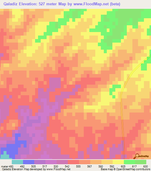 Qaladiz,Iraq Elevation Map