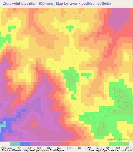 Zintukwini,South Africa Elevation Map