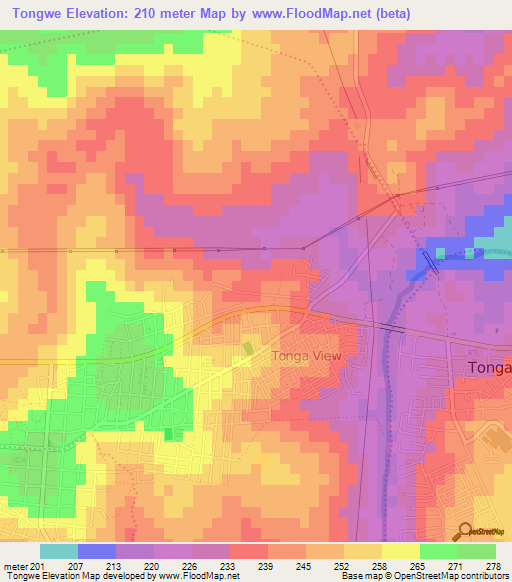 Tongwe,South Africa Elevation Map