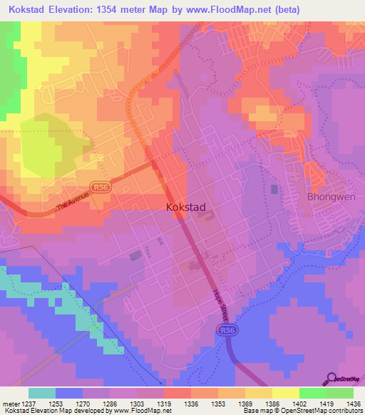 Kokstad,South Africa Elevation Map